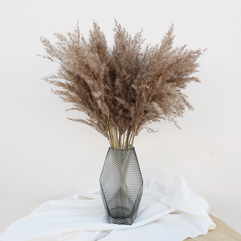 Flower Girl Basket - 10Pcs Colorful Natural Reeds Pampas Grass