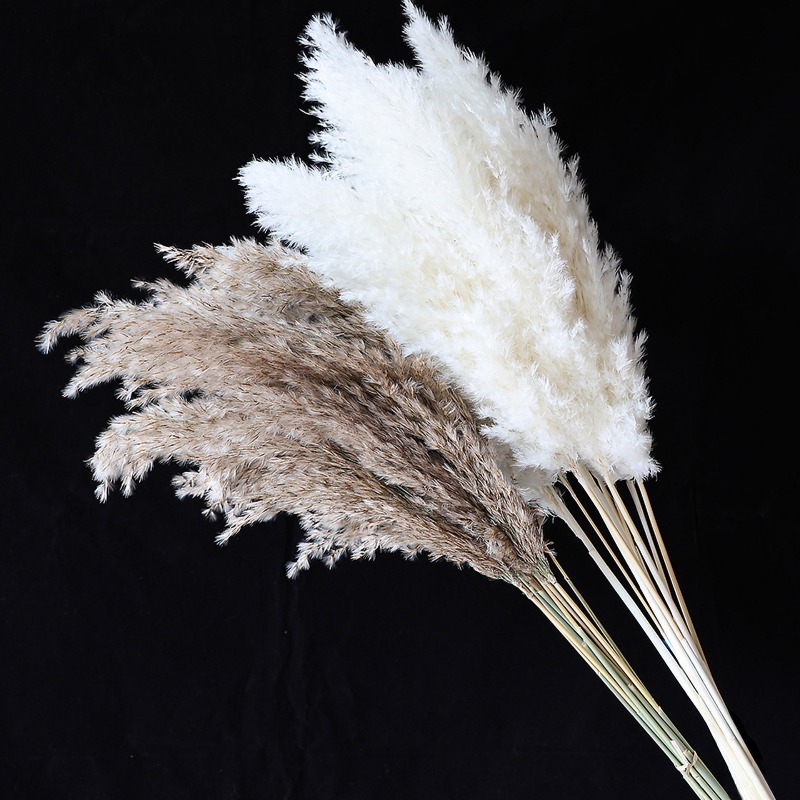 10Pcs Colorful Natural Reeds P - Flower Girl Basket ulasan dan harga