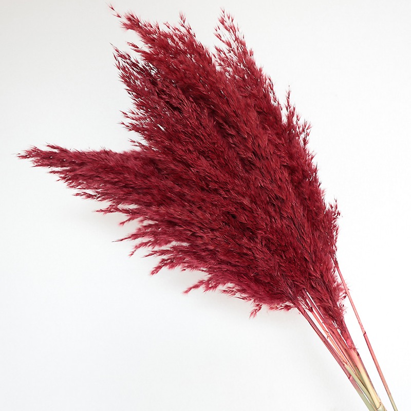 10Pcs Colorful Natural Reeds P - Flower Girl Basket ulasan dan harga